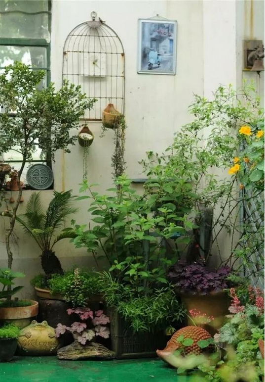青島花園設計