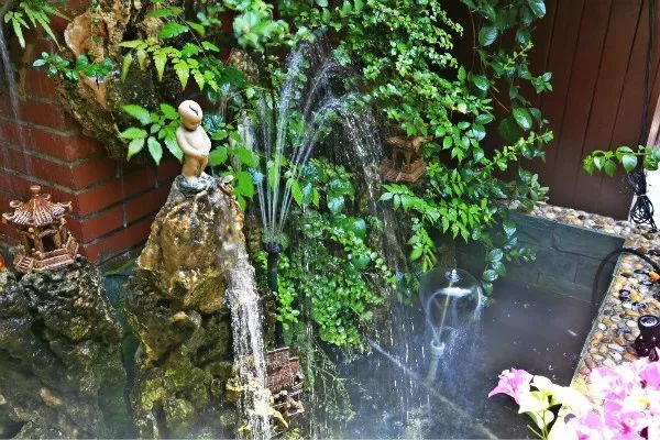 熱血老男人城市花園夢，退伍老兵費(fèi)時(shí)3年打造出驚艷中式園林