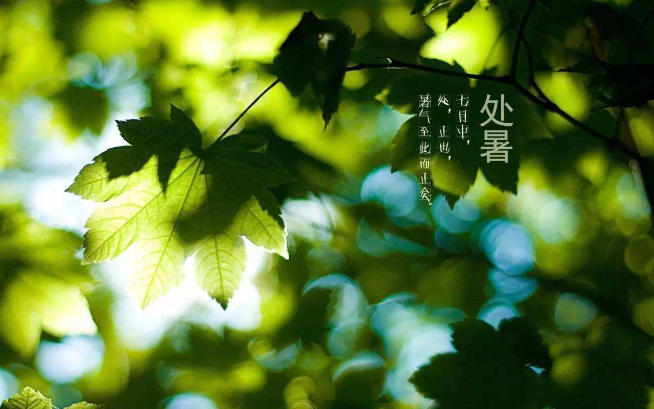 處暑 | 一度暑出處暑時，秋風送爽已覺遲