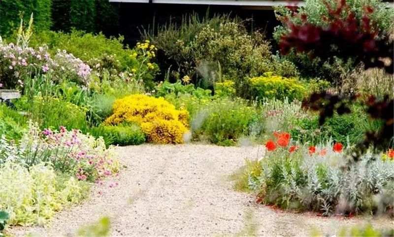 礫石花園，在詩意中自由生長的花園設計