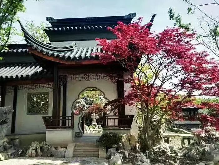 疏密曲直，起承轉合，中式院落布局的藝術